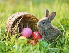 What is Easter all About - Fun Facts - AroundTheWineCooler