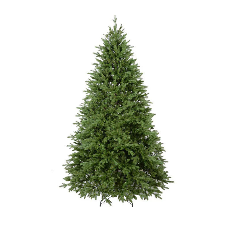 Fir Christmas Tree