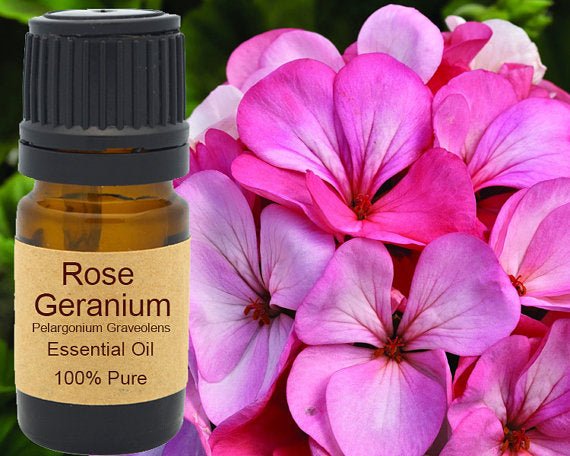 Rose Geranium Essential Oil 15ml - AroundTheWineCooler