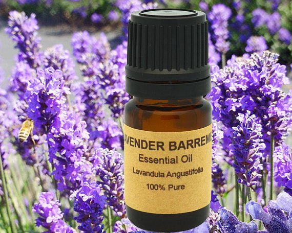 Lavender Essential from France, Region of - AroundTheWineCooler