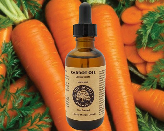 Carrot Oil (Macerated) for dry and mature skin. - AroundTheWineCooler
