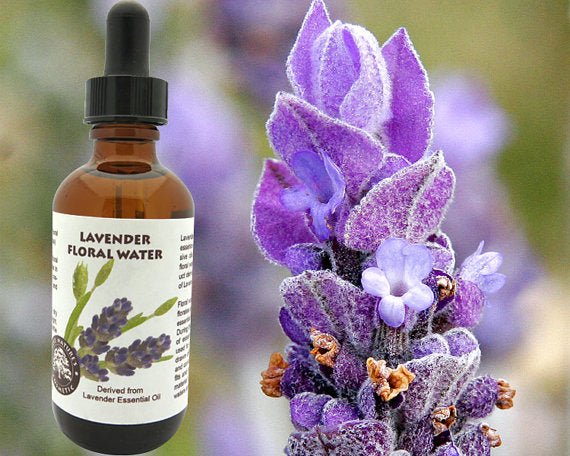 Lavender Floral Water (Hydroflorate or Hydrosol) - AroundTheWineCooler